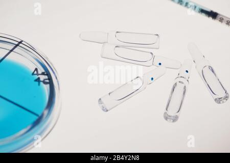 Horizontal high angle close up shot of petri dish with specimen, glass ampoules with medication and syringe on white surface Stock Photo