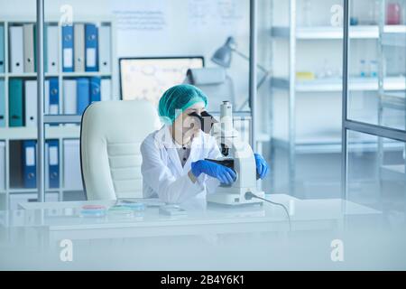Horizontal portrait of young Asian female scientist sitting alone at laboratory desk using microscope, copy space Stock Photo