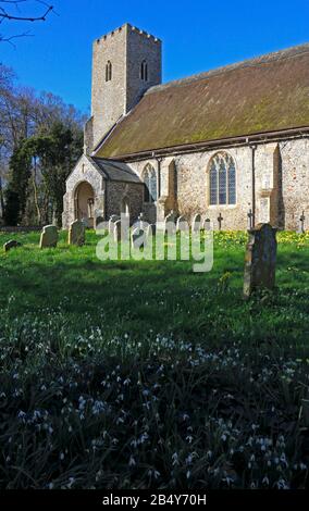 A view of the parish Church of St Margaret with a foreground of snowdrops and daffodils at Paston, Norfolk, England, United Kingdom, Europe. Stock Photo