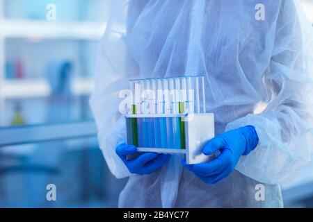 Unrecognizable woman working in modern medical research laboratory holding set of test-tubes with specimens, cope space Stock Photo