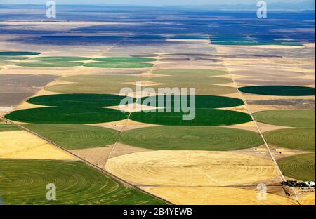 An aerial view of the crop circles created in farm fields by center pivot sprinklers. Stock Photo