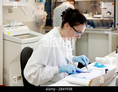Idaho, USA Jul. 16, 2009  An interior image of the gross room on a modern pathology office.  The tecnician is dissecting colon polyps and preparng the Stock Photo