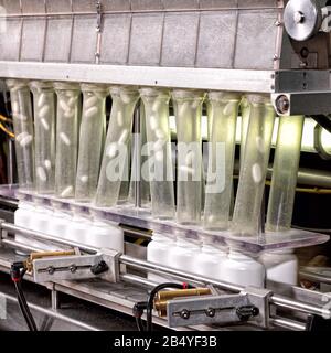 The pill counter in a pharmaceutical processing facility. Stock Photo