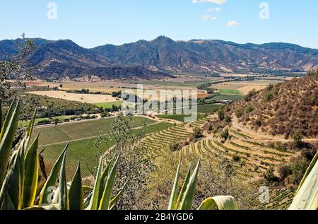 vineyards, valley scene, rural, hills, farms, winery; landscape, Vina Santa Cruz; South America; Colchagua Valley, Chile;  summer Stock Photo