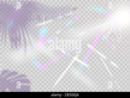 Iridescent Background. Holographic Background with Light Glitch Effect. Vector Rainbow Gradient with Sunshine Glare. shade of tropical trees Stock Vector