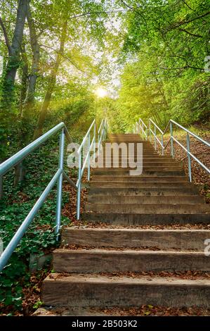 Bottom view to a wooden staircase that goes up in a forest. At the top of the stairs, sun rays break through the foliage of the trees. Stock Photo