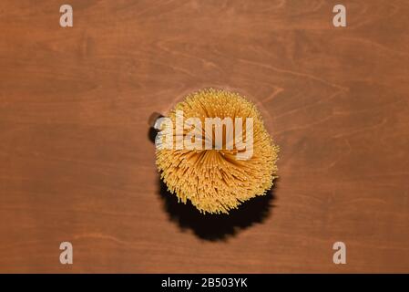 top view of yellow uncooked spaghetti pasta in a center on a brown wooden table, shooting with flash hard light, background for the text about italian Stock Photo