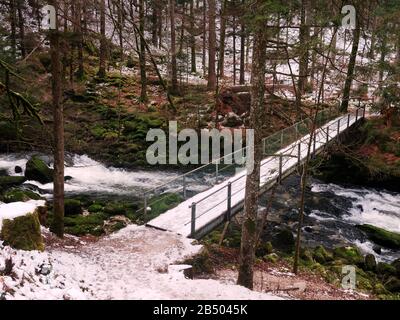 Beautiful forest and the Orbe river with a small bridge covered with snow in winter, Vallorbe, Switzerland. Stock Photo