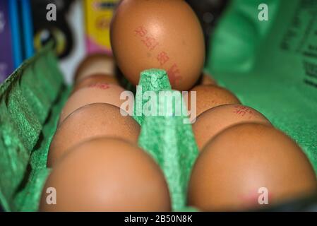 Eggs in an egg box, close up Stock Photo