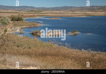 Laguna de Pitillas, a nature reserve south of Pamplona, Navarra, Spain, Stock Photo