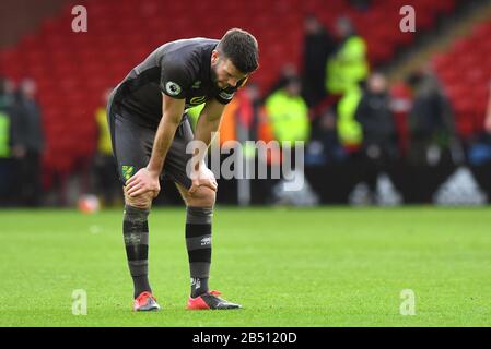 Norwich City's Grant Hanley appears dejected after the final whistle at the Premier League match at Bramall Lane, Sheffield. Stock Photo