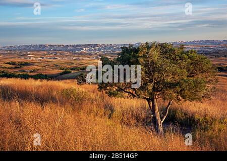 SD00321-00...SOUTH DAKOTA - Late afternoon view of the Badlands Wilderness from the Sage Creek Rim Road in Badlands National Park. Stock Photo