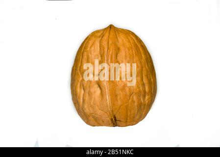 walnut on white background Walnut on a white. Stock Photo
