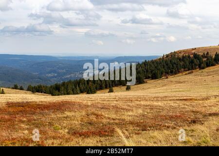 Landscape on the summit of the Feldberg, Black Forest, Germany