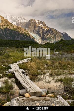 Hiking trail over a bog with Piedras Blancas Glacier in the distance, Parque Nacional Los Glaciares, Patagonia Argentina Stock Photo