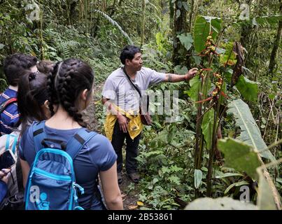 Ecuador rainforest student group learning from Ecuadorian guide, Bellavista Cloud Forest Reserve Stock Photo