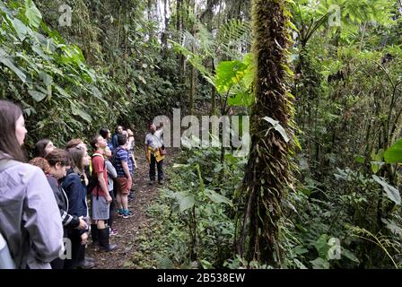 Ecuador rainforest student group learning from Ecuadorian guide, Bellavista Cloud Forest Reserve