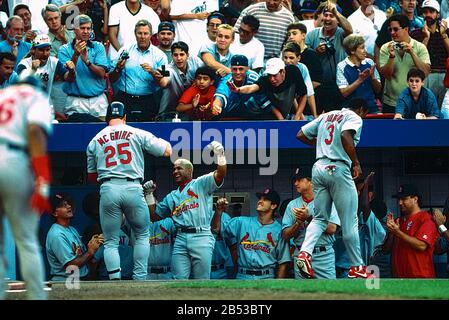 Mark McGwire, St. Louis Cardinals 50th home run during the record breaking season in 1998 in a game agaainst the New York Mets. Stock Photo