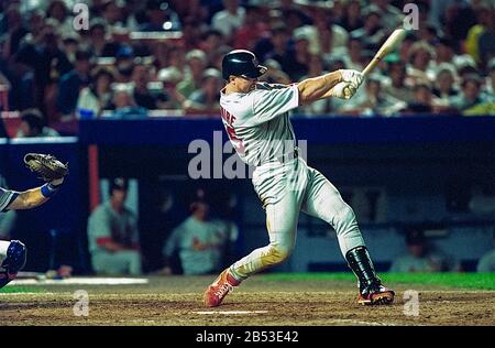 Mark McGwire, St. Louis Cardinals  during the home run record breaking season in 1998 in a game agaainst the New York Mets. Stock Photo
