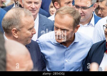 Donald Tusk, former President of European Council talking with Grzegorz Schetyna - chairman of Civil Platform during march 'For Europe' Stock Photo