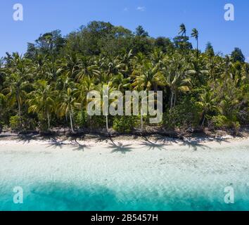 A remote, white sand beach, shaded by coconut palm trees, is surrounded by clear, warm water in Raja Ampat, Indonesia. This tropical area is gorgeous. Stock Photo