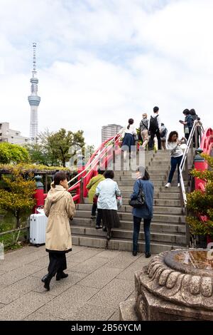 Tokyo, Japan, May 1, 2019 : Unidentified tourist travel to see bloom fuji wisteria at Kameido Tenjin shrine with Tokyo skytree and blue sky as backgro Stock Photo