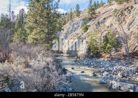 View of Trout Creek flowing through ravine and forest in springtime Stock Photo