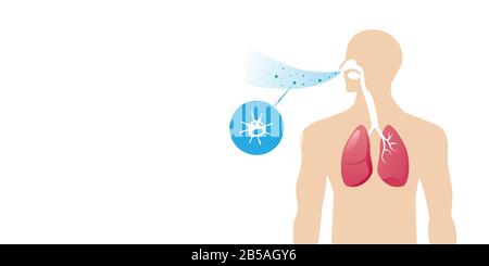 Bacteria And Fungi Into Respiratory Of Human From Breathe Stock Vector 