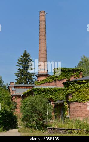 Naturschutzzentrum, Oekowerk, Teufelsberg, Grunewald, Berlin, Deutschland / Ökowerk Stock Photo