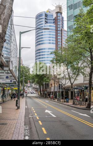WELLINGTON, NEW ZEALAND - November 13 2019: cityscape with tall modern buildings on tree-lined commercial street at downtown, shot in bright cloudy sp Stock Photo
