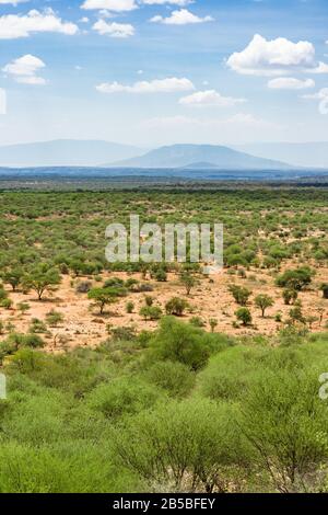 View of Kajiado County landscape with acacia trees and hills in background, Kenya Stock Photo