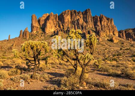 Superstition Mountains, teddybear cholla cacti, at sunset, view from Lost Dutchman State Park, near Apache Junction, Arizona, USA Stock Photo