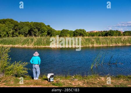 Man fishing at lagoon at riparian zone in Verde River Valley, Dead Horse Ranch State Park, near Cottonwood, Arizona, USA Stock Photo