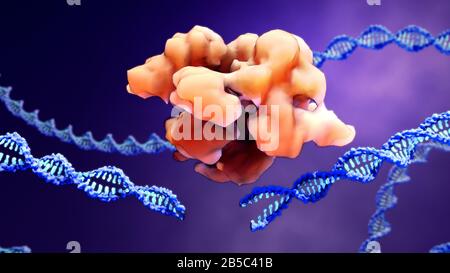 CRISPR-Cas9 gene editing complex, illustration Stock Photo - Alamy