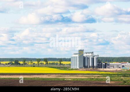 Field of rapeseed flowers, plant for cleaning and storage of agricultural products, flour, cereals and grains Stock Photo