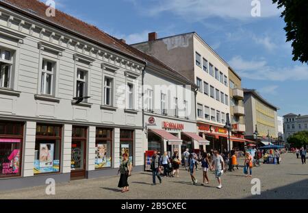 Markt, Altstadt, Spandau, Berlin, Deutschland Stock Photo