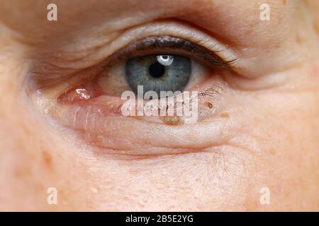 Charming middle aged person Stock Photo