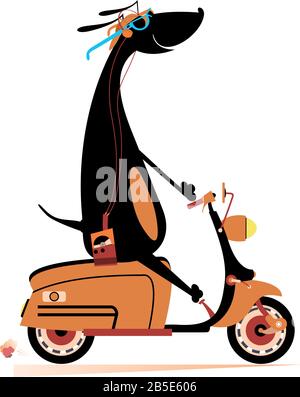Smiling dog rides a scooter illustration. Comic cartoon dachshund rides a scooter and listens music on player using headphones isolated on white Stock Vector