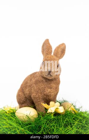 Easter bunny with eggs isolated on white background Stock Photo