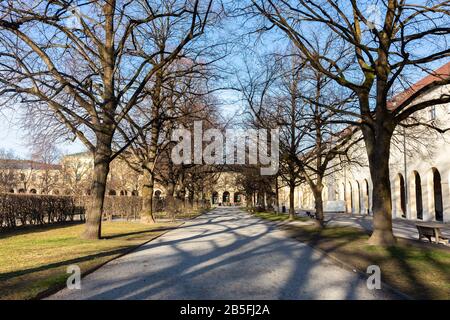 View along a tree-lined alley. Inside the Hofgarten (Court Garden), located in the heart of Munich. During winter season, trees without leaves. Stock Photo