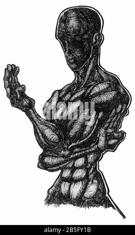 Ink Drawing (Hatch Work) of Karate Pose (Martial Art) Detailed Muscular Body in a Textured Unique Style. Artistic Manual Illustration turned to Vector Stock Vector