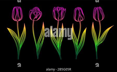 Collection Of Vector Neon Rainbow Tulips With Stem And Leaf. Set Of Different Spring Flowers. Isolated Tulip Cliparts With Multi-Color Petals. Colorfu Stock Vector