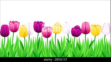 Seamless Row Of Vector Colorful Tulips With Leaves. Set Of Isolated Spring Flowers. Collection Of Beautiful Multi-Color Tulip Buds And Blooming Flower Stock Vector