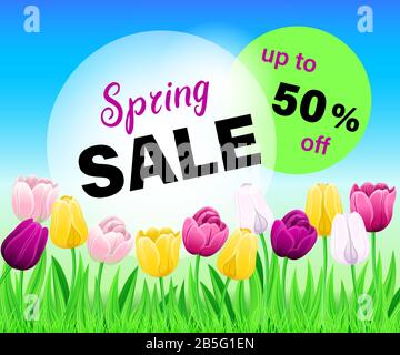 Vector Pattern For Advertising Billboard Design, Spring Sale Banner, Sale Poster, Sale Flyer, 50% Off. Multi-Color Tulips With Leaves And Green Grass Stock Vector