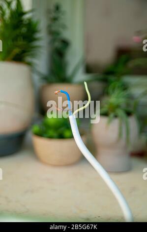 Electric wire with three insulated copper cables Stock Photo