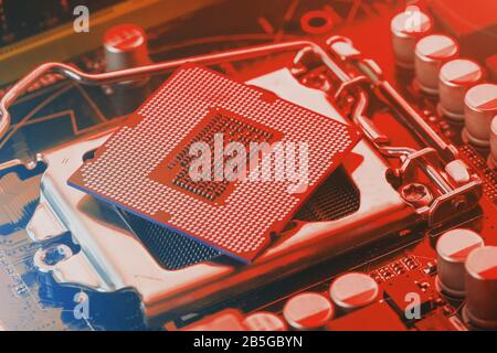 The central processor on the computer motherboard in red colors. PC repair, technician and industry support concept. Stock Photo