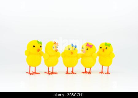 Group of cute yellow model chicks made of foam standing in a group against a plain white background Stock Photo