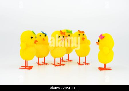 Cute yellow model chicks in a group. One chick is talking to the rest of the group against a plain white background Stock Photo