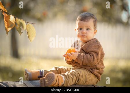 A 3-year-old boy sits on a large wooden barrel Stock Photo