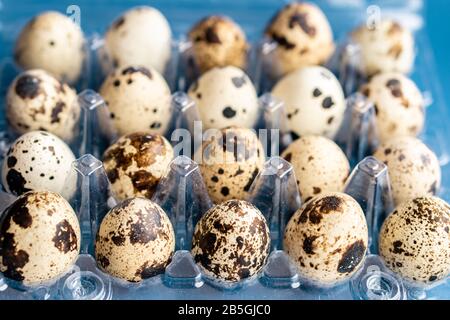 Quail eggs in a plastic box on a classic blue background. Plasticine box of quail eggs on a blue background. Stock Photo